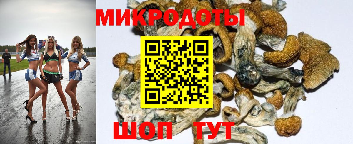 Галлюциногенные грибы Cubensis Северобайкальск